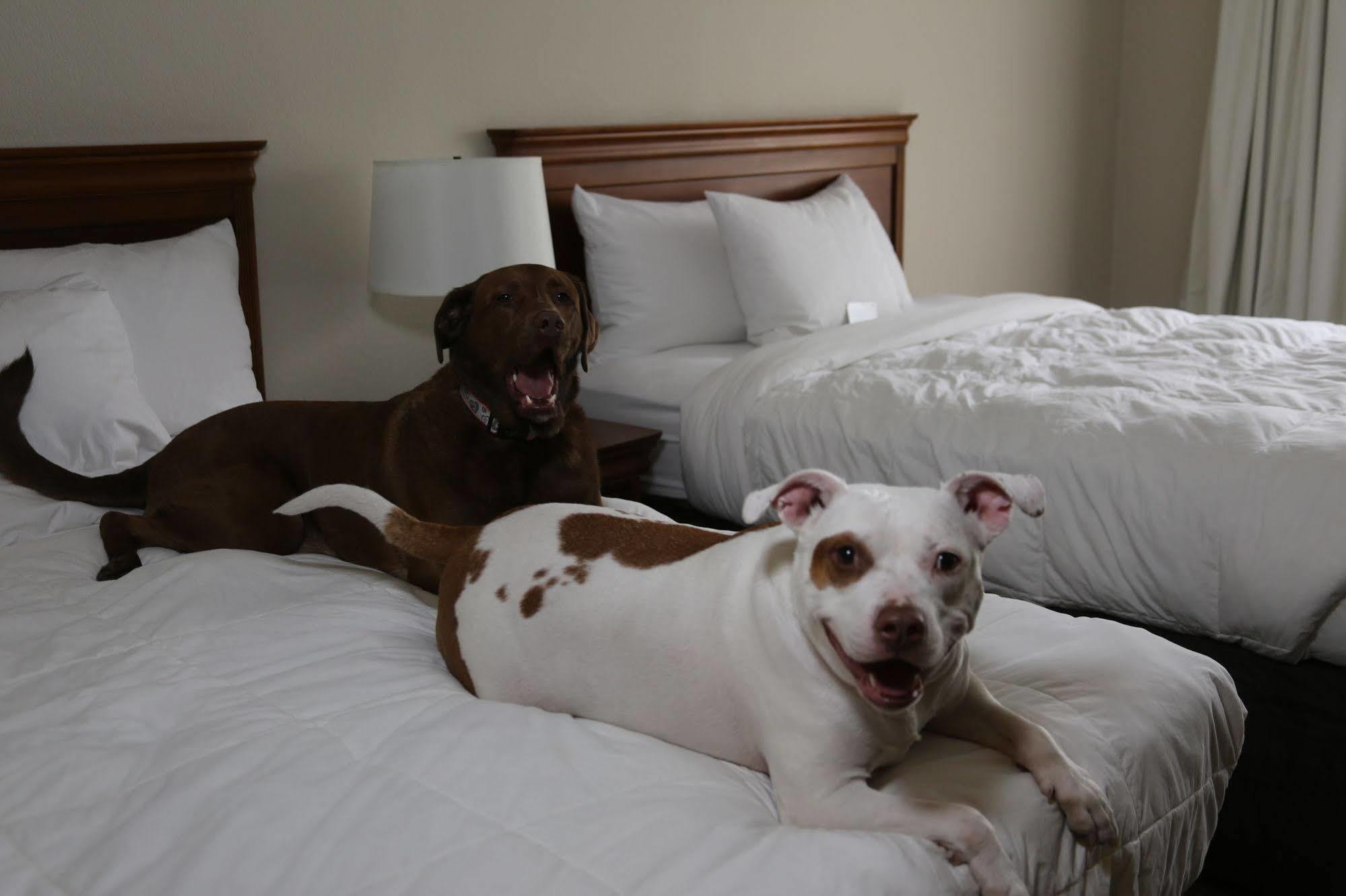 Country Inn & Suites By Radisson, Lehighton-Jim Thorpe, Pa Esterno foto